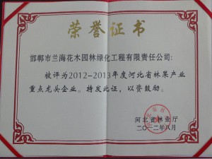 資質(zhì)榮譽(yù)
