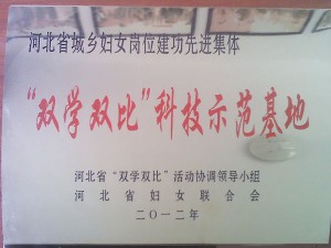 資質(zhì)榮譽(yù)