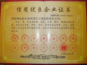 資質(zhì)榮譽(yù)
